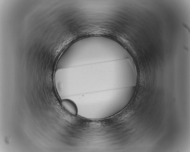 X0000099960394200806131515