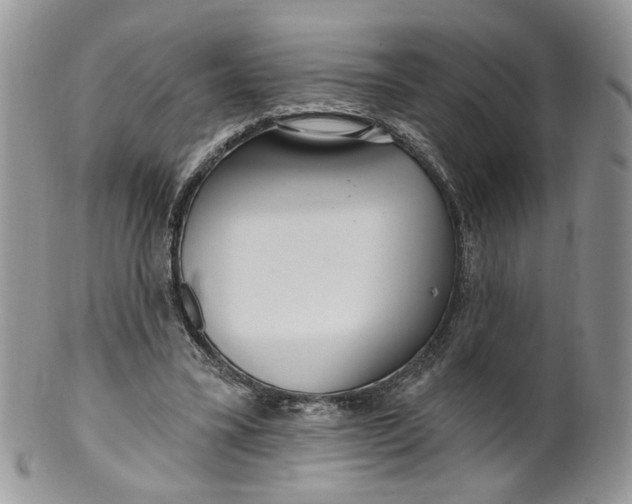 X0000099960395200806131515