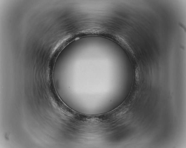 X0000099960396200806131515