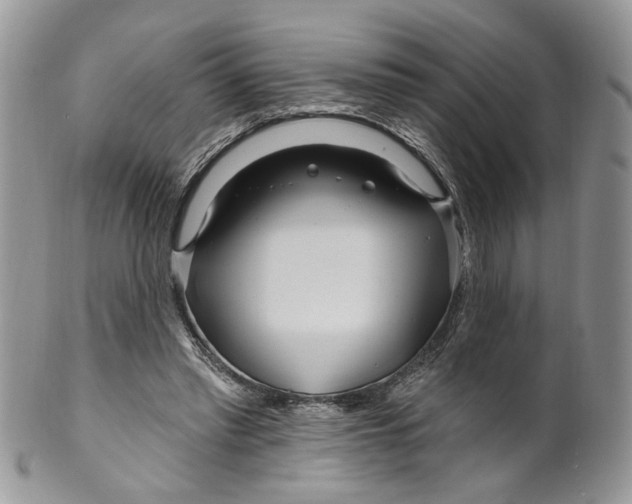 X0000099960397200806131515