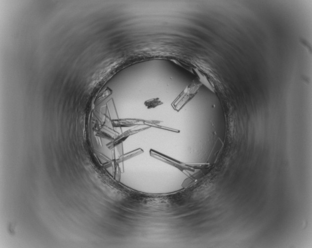 X0000099960398200806131515