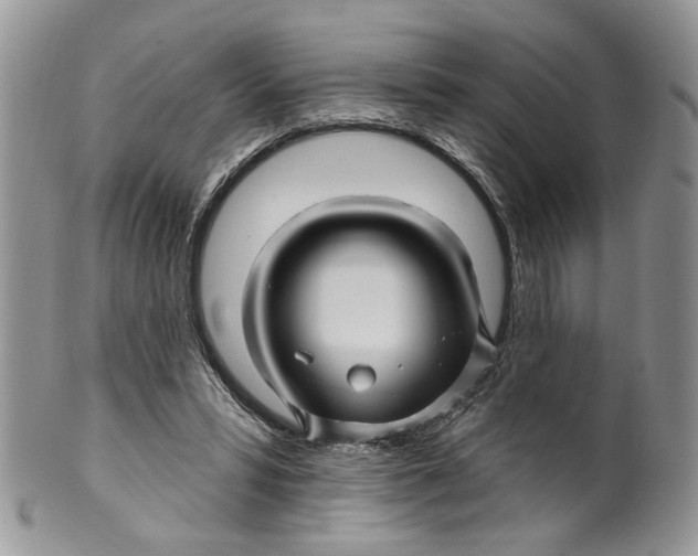 X0000099960399200806131515