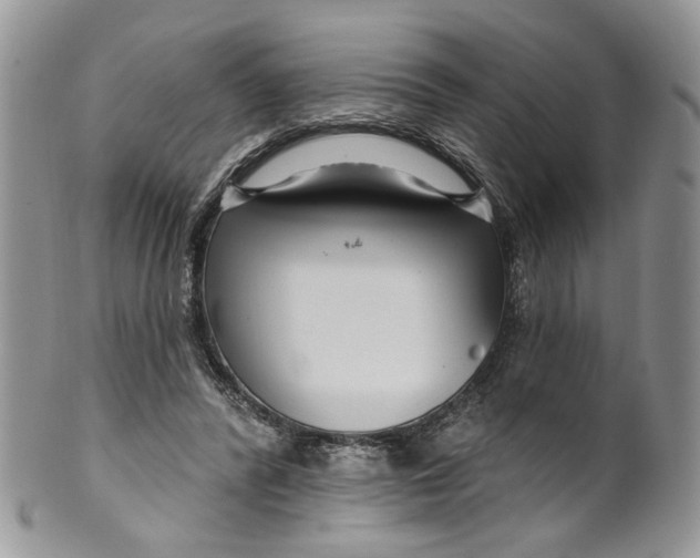 X0000099960400200806131515