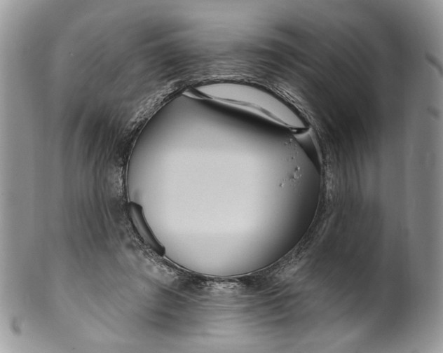 X0000099960401200806131515