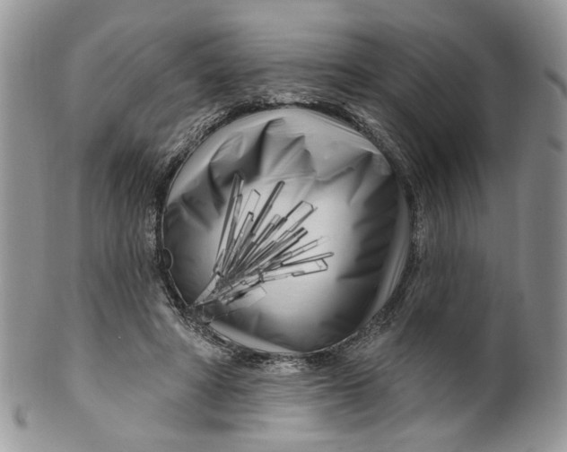 X0000099960402200806131515