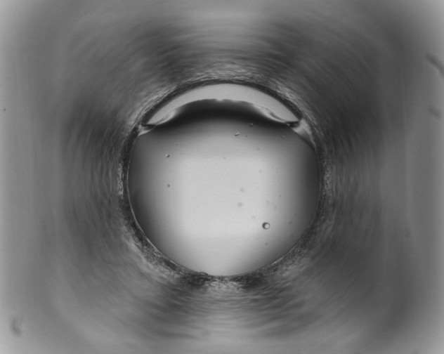 X0000099960403200806131515