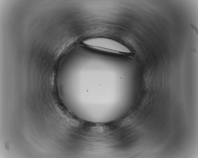 X0000099960404200806131515