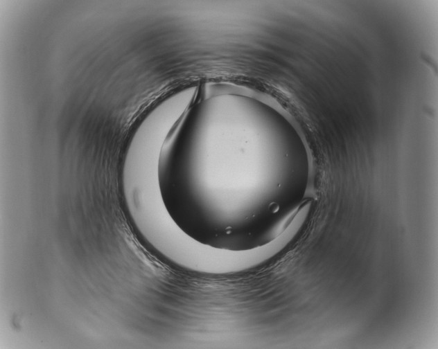 X0000099960405200806131515