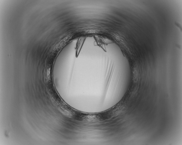 X0000099960406200806131515