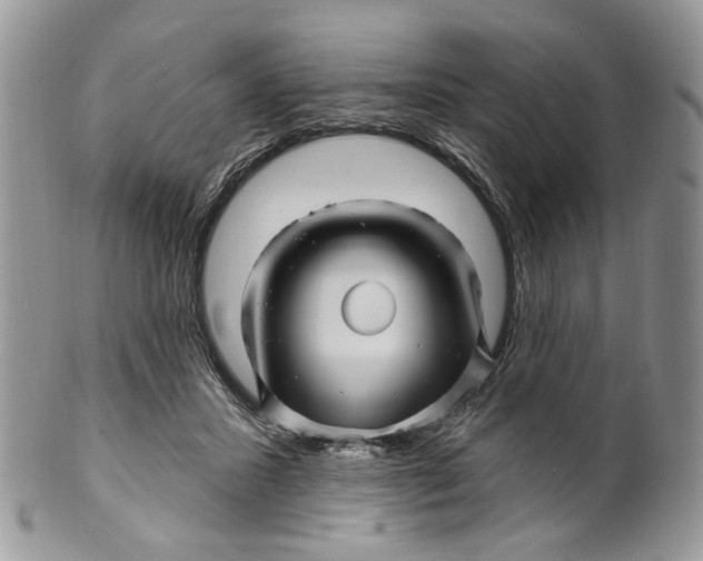 X0000099960407200806131515