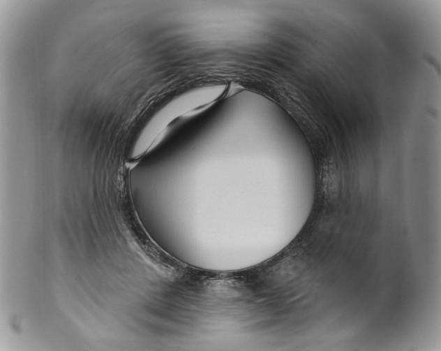 X0000099960408200806131515