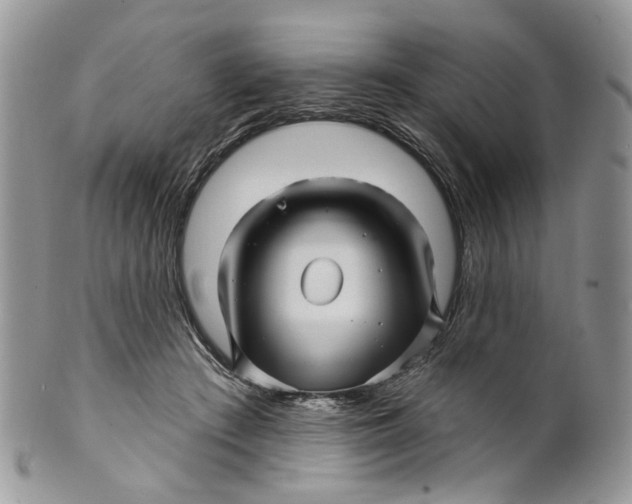 X0000099960409200806131515