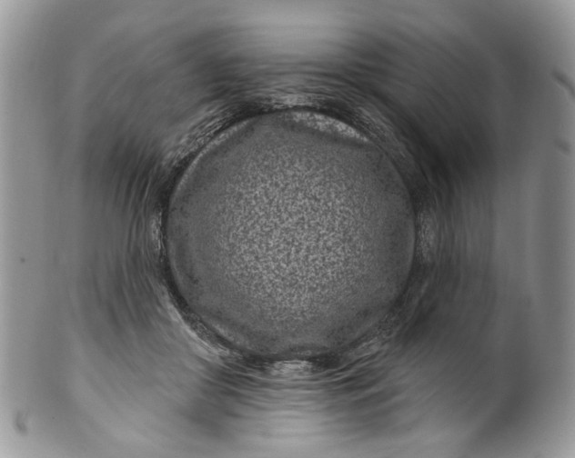 X0000099960410200806131515