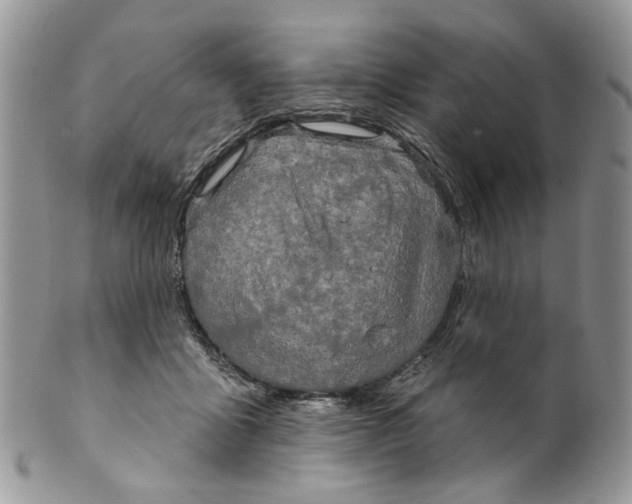 X0000099960411200806131515