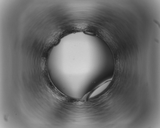 X0000099960412200806131514