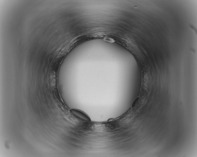 X0000099960413200806131514