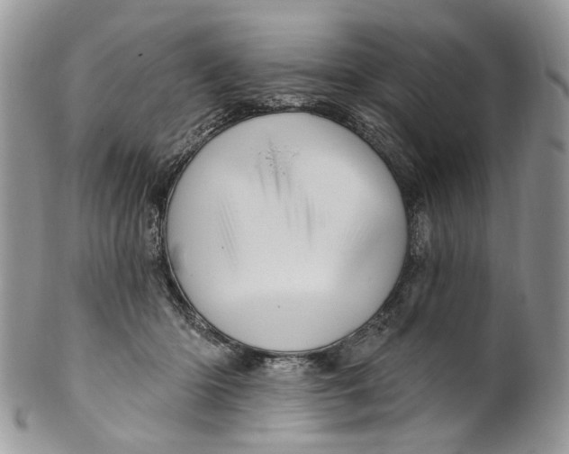 X0000099960414200806131514