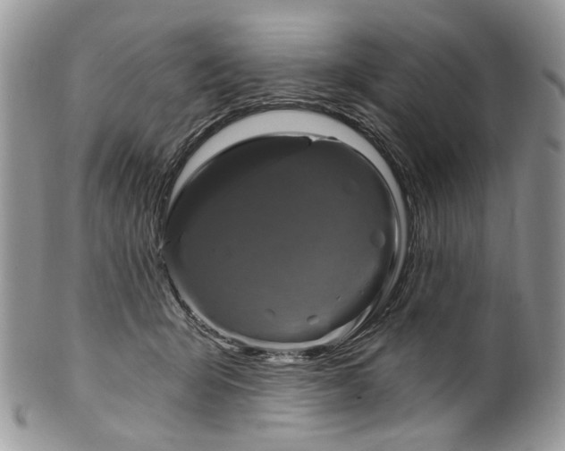 X0000099960415200806131514