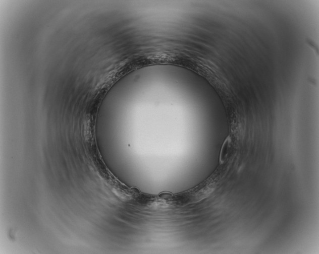 X0000099960416200806131514