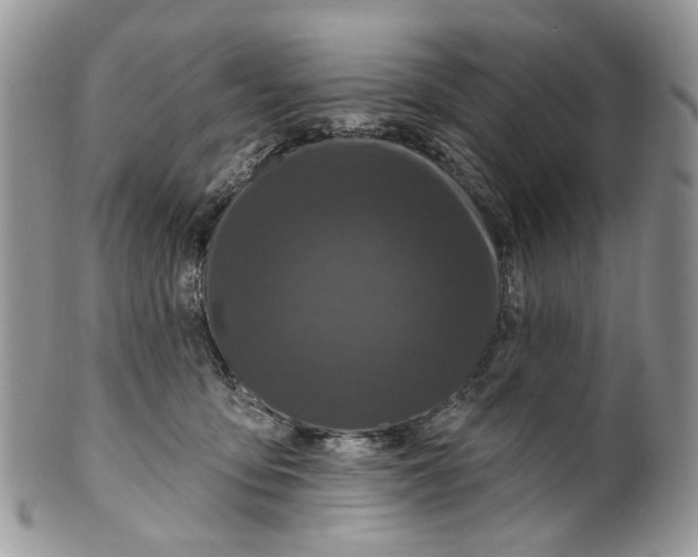 X0000099960419200806131514