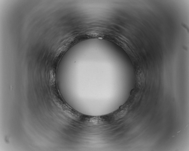 X0000099960420200806131514