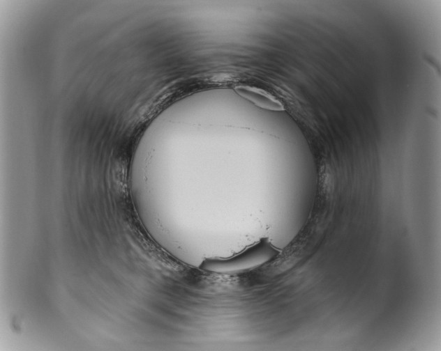 X0000099960421200806131514