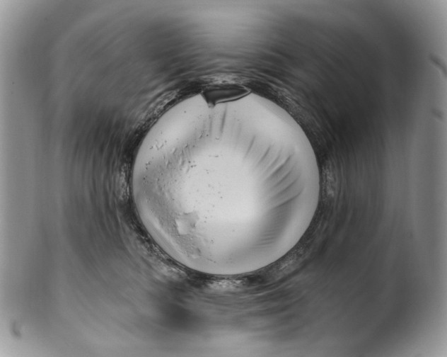 X0000099960422200806131514