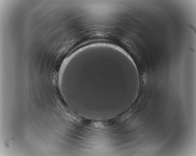 X0000099960423200806131514