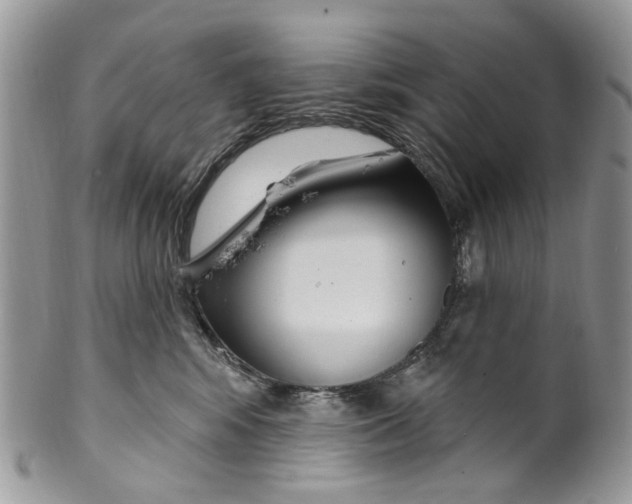 X0000099960424200806131514