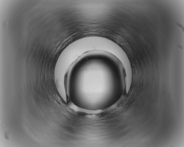 X0000099960425200806131514