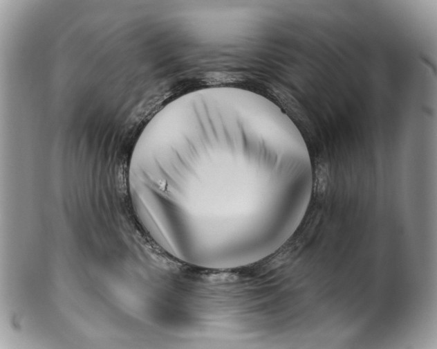 X0000099960426200806131514