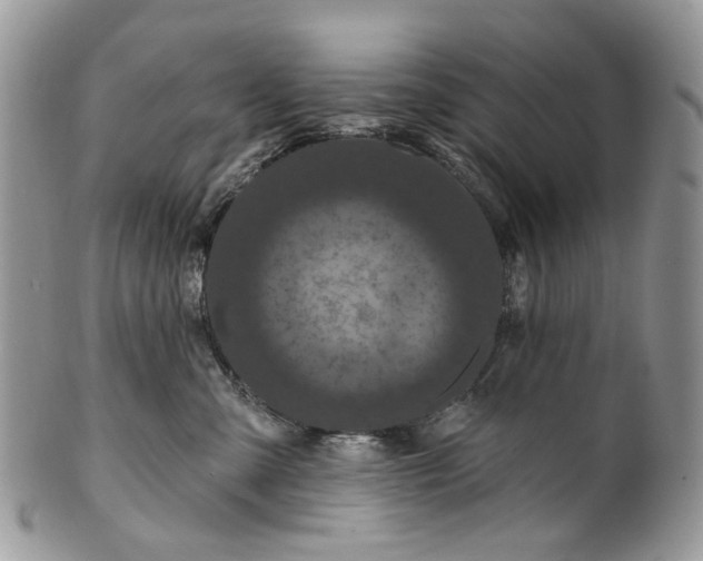 X0000099960427200806131514