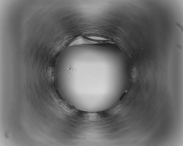 X0000099960428200806131514