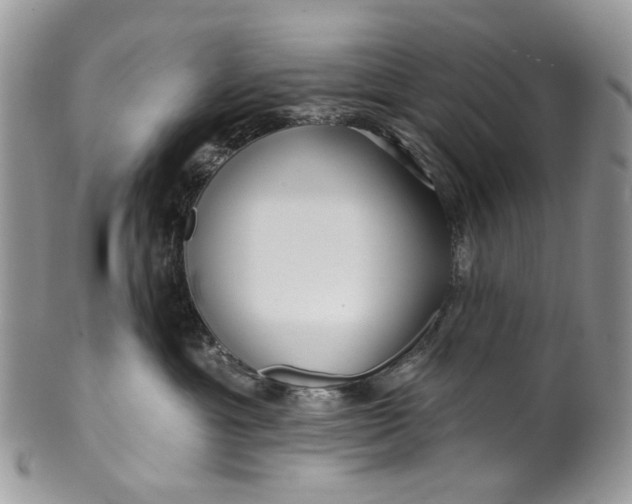 X0000099960429200806131514