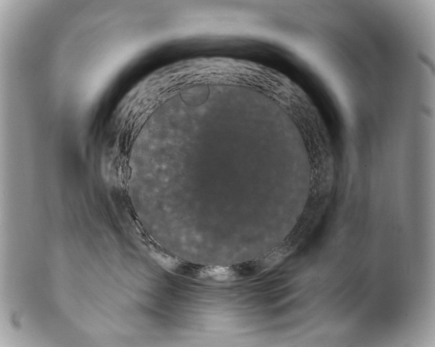 X0000099960431200806131514