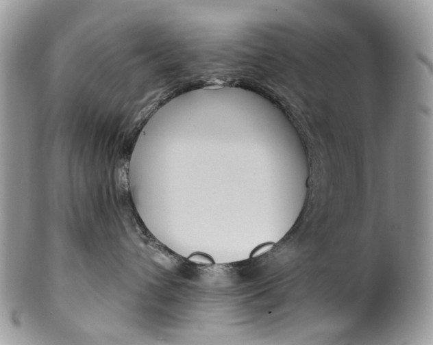 X0000099960432200806131514