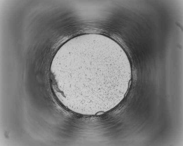 X0000099960433200806131513