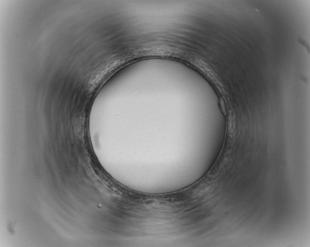 X0000099960434200806131513