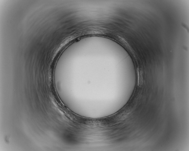 X0000099960435200806131513