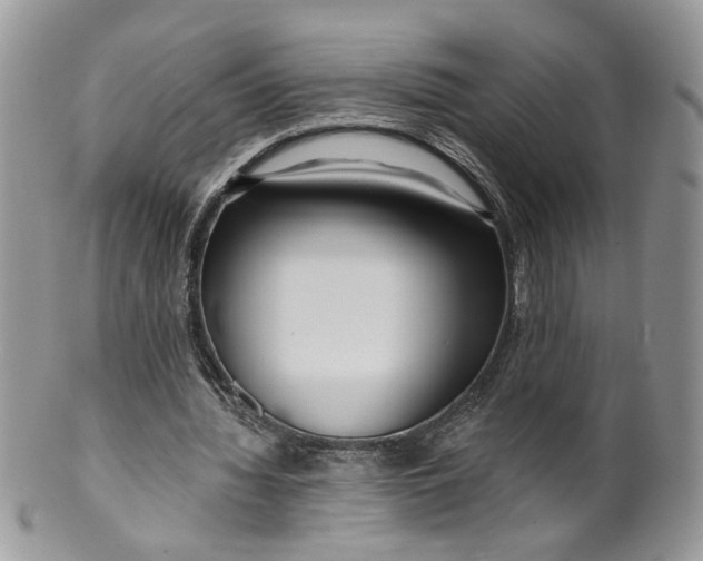 X0000099960436200806131513