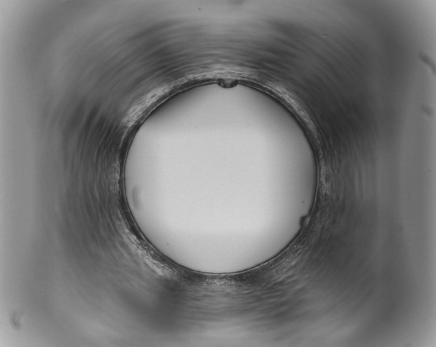 X0000099960437200806131513