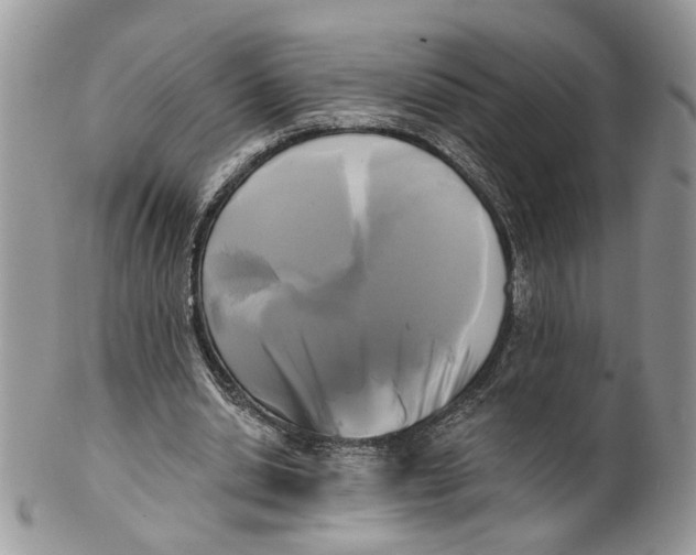 X0000099960438200806131513