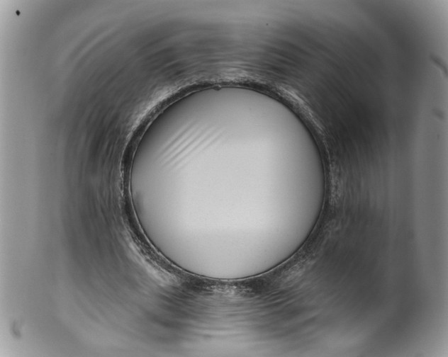 X0000099960439200806131513