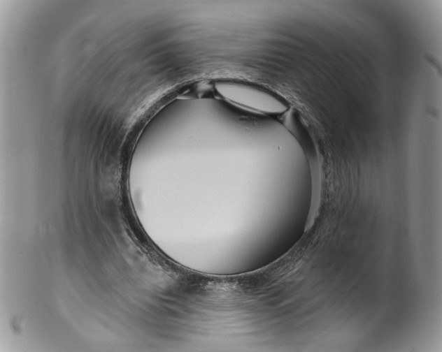 X0000099960440200806131513