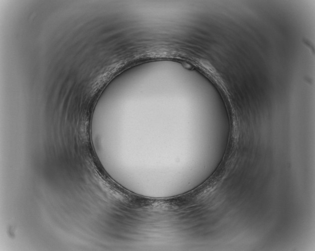 X0000099960441200806131514