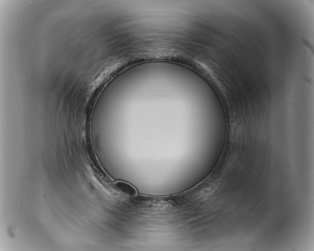 X0000099960443200806131514