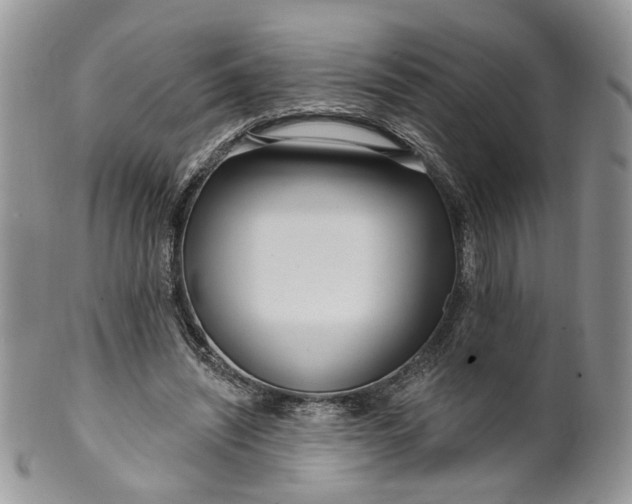 X0000099960444200806131514