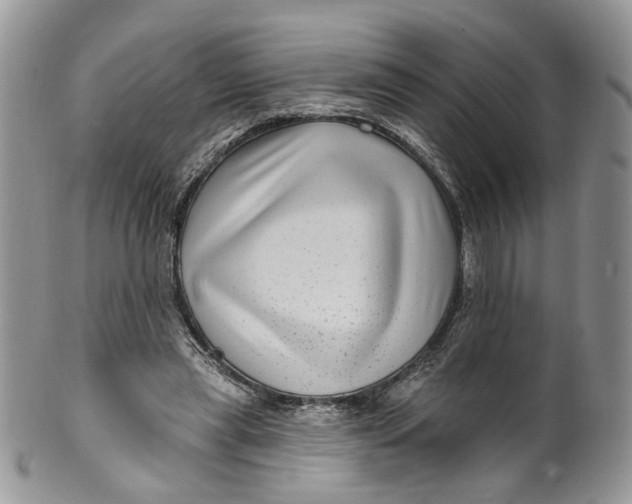 X0000099960445200806131514