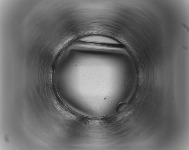 X0000099960446200806131514