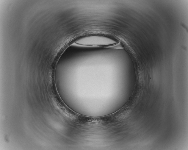 X0000099960447200806131514